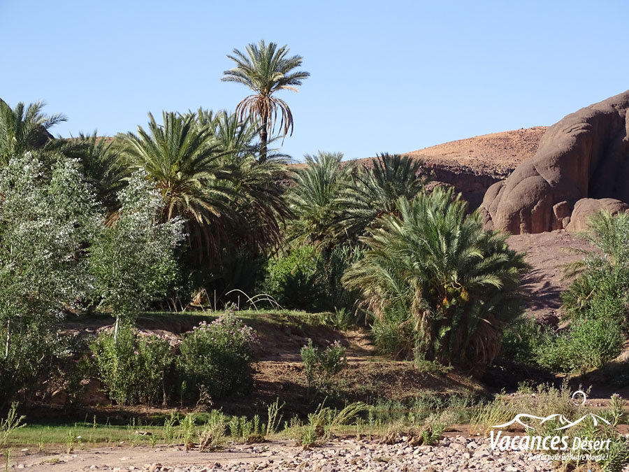  Circuit privé sud Maroc en 4x4 avec chauffeur ! 